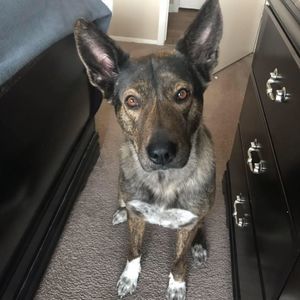 Meet your Posher, Jon